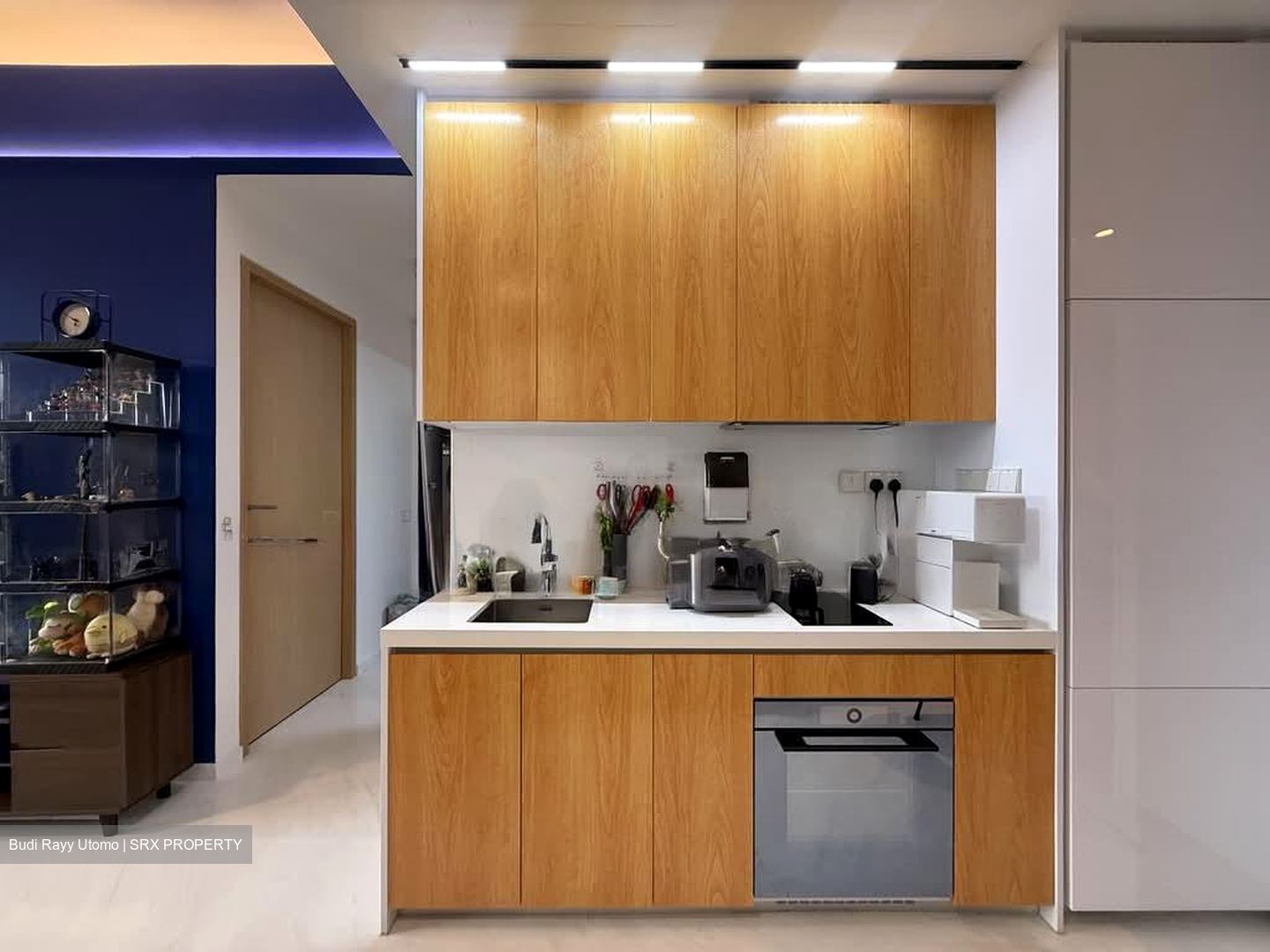 Peak Residence (D11), Condominium #578647411